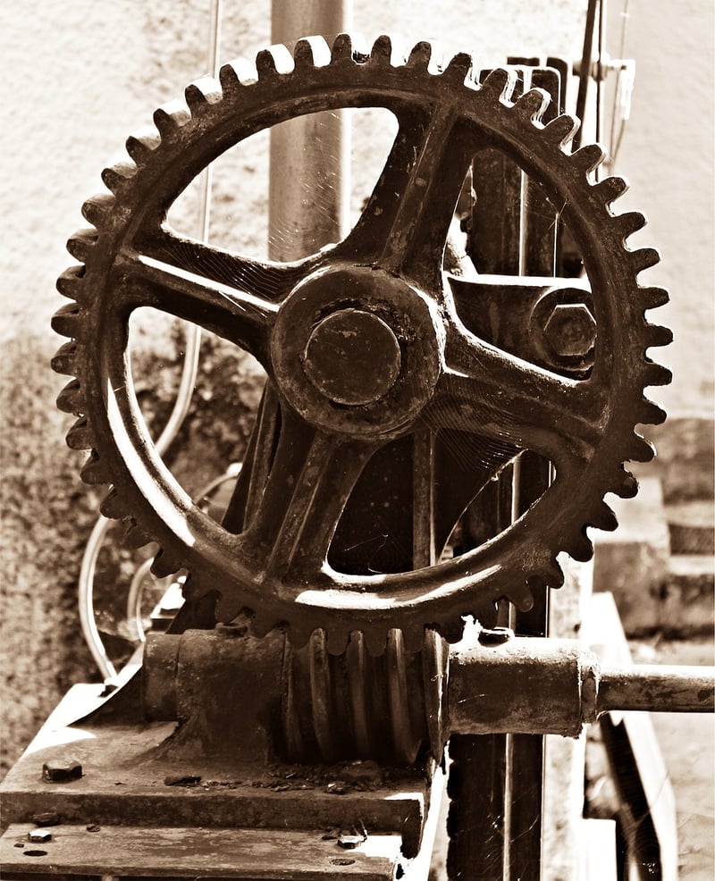 Multi-Functional Gear